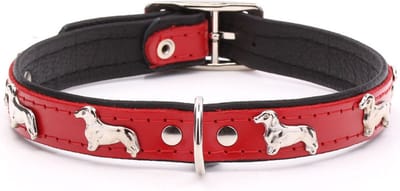 Dog's Companion Leren Halsband - Teckel - Lengte: 45 cm Verstelbaar van 35-41 cm x 20 mm - Rood