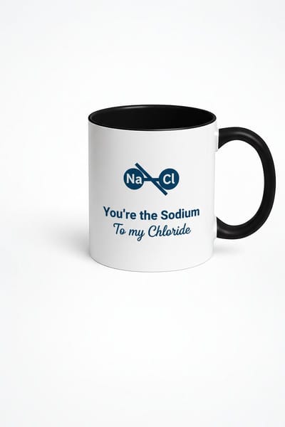 Mok Chemie Liefde - 'You're the Sodium To my Chloride' | NaCl Scheikunde Beker | Uniek Cadeau