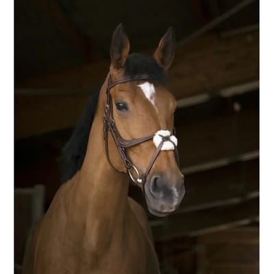 Norton Equestrian Crossed Halter With Neusriem Bruin Full