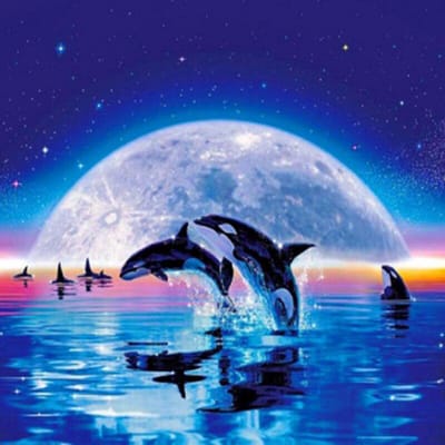 5D Diy Daimond Schilderij Kruissteek  Moonlight Dolphin  Strass Schilderijen Borduren 30x30CM blue