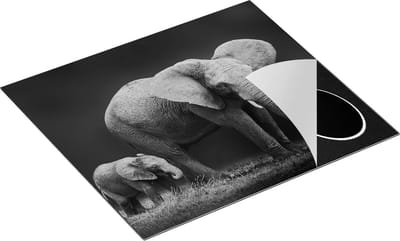 Chefcare Inductie Beschermer Olifant Moeder en Zoon - Zwart Wit - 60x50 cm - Afdekplaat Inductie - Kookplaat Beschermer - Inductie Mat