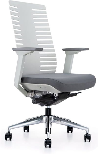 Sedero Bureaustoel Bone - Ergonomische bureaustoel voor Volwassenen - Grijs