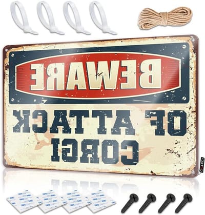 Waarschuwingsbord Metaal - Decoratie Plaat - Huis Beveiligen - Waterdicht Ontwerp - 20x30CM - Zwart