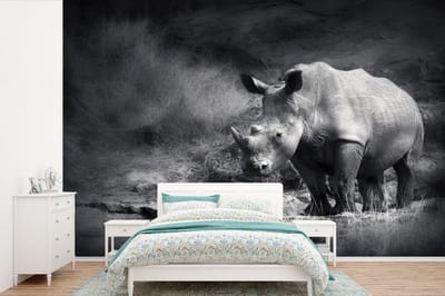Behang - Fotobehang Neushoorn - Natuur - Gras - Zwart - Wit - Breedte 525 cm x hoogte 350 cm