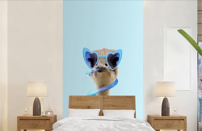 Fotobehang - Behang - Struisvogel - Zonnebril - Blauw - Dieren - Dieren behang - 120x240 cm - Fotobehang dieren