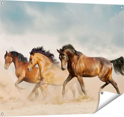 Gards Tuinposter Drie Bruine Paarden - 100x80 cm - Tuindoek - Tuindecoratie - Wanddecoratie buiten - Tuinschilderij