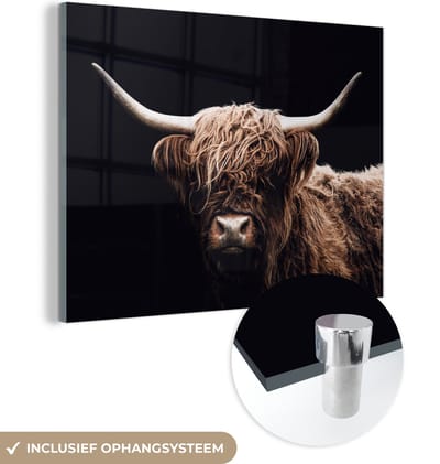 MuchoWow® Glasschilderij 120x90 cm - Schilderij acrylglas - Schotse Hooglander - Zwart - Hoorn - Foto op glas - Schilderijen