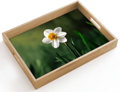 Dienblad hout 40x30 cm - Schootdienblad - Narcis - Bloem - Wit - Grassprieten - Borrelplank rechthoek - Plateau dienbladen