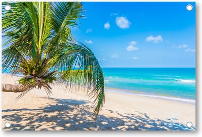 Tropisch strand met palmboom - Tuinposter 90x60 - Wanddecoratie - Natuur
