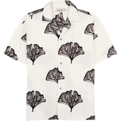 Shirt Imago Kotor
