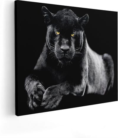 Artaza Canvas Schilderij Panter - 50x40 cm - Wanddecoratie Wilde Dieren - Muurdecoratie Woonkamer - Kamer Accessoires