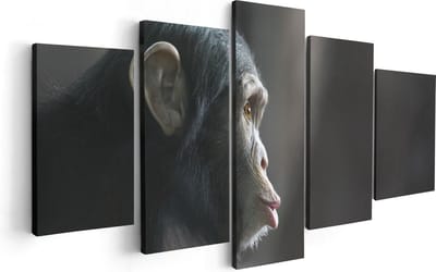 Artaza Canvas Schilderij Vijfluik Verbaasde Aap Vanaf De Zijkant - 100x50 - Foto Op Canvas - Canvas Print