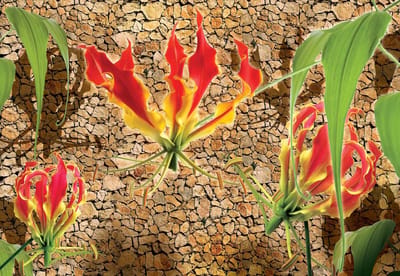 Fotobehang Flowers Floral | XL - 208cm x 146cm | 130g/m2 Vlies