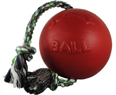 Stevige Kauwbal voor Honden met Frisse Geur - 10 cm