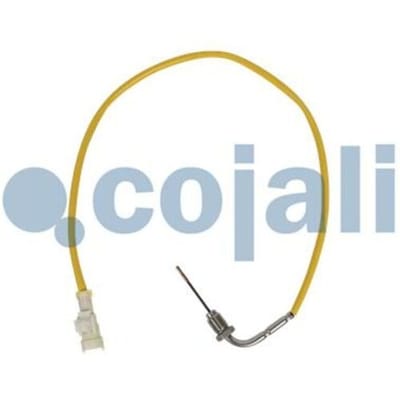 Sensor, uitlaatgastemperatuur COJALI 2262019
