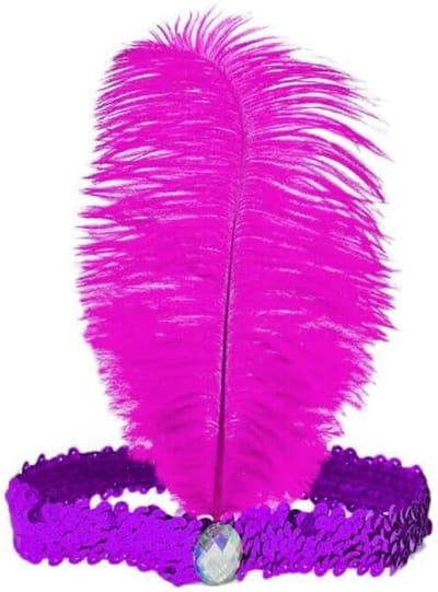 Vintage Feathers Hoofdband met Pailletten en Kristallen voor 1920s Gatsby Kostuum, Carnaval en Themafeesten voor Dames en Meisjes
