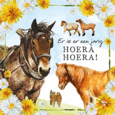 Rien Poortvliet Wenskaart Er is er een jarig HOERA HOERA! – Paarden – 13,5 x 13,5 cm
