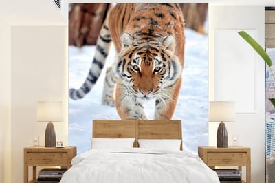 Behang - Fotobehang Tijger - Sneeuw - Dieren - Breedte 205 cm x hoogte 280 cm