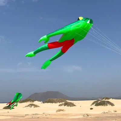 Eenlijnsvlieger Spiderkites Wonderfrog 30037 Groen 135 x 210 cm