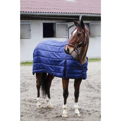 Undercover voor paarden Equithème Classic 50 g