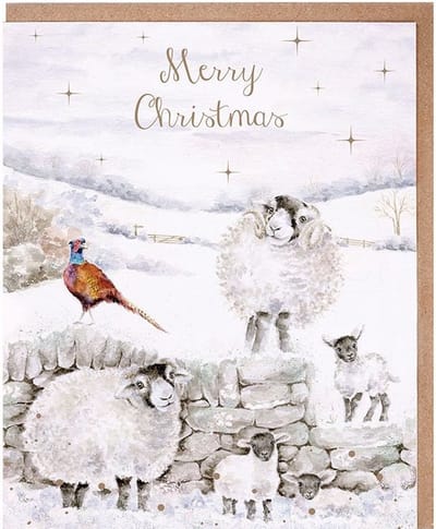 Wrendale Kerstkaarten Notepack - 8 stuks - 'Merry Christmas to Ewe' Sheep Christmas Card Pack