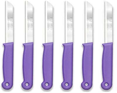Solingen Kartelmes – Tomatenmes met Kartel – RVS – 18,5 cm met Blade Cover – Paars – 6 stuks