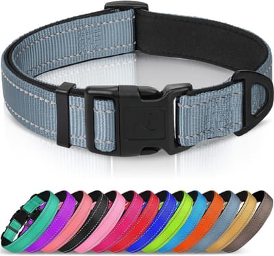Reflecterende Hondenhalsband, Zacht Neopreen Gewatteerde Ademende Nylon Huisdier Halsband Verstelbaar voor XLarge Honden, XS, Grijs