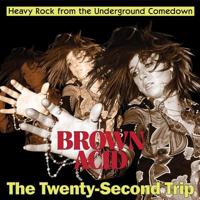 Various Artists - Brown Acid: The Twenty-Second Trip (LP)