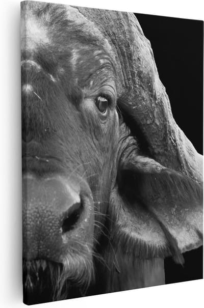 Artaza Canvas Schilderij Dierenkop - 40x50 cm - Wanddecoratie Buffel Afrika - Muurdecoratie Dieren - Kamer Accessoires