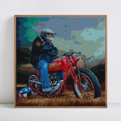 Diamant schilderij orang-oetan motorfiets cartoon 5D DIY diamant borduurwerk verkoop sterrenbeeld 30x30CM gray