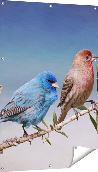 Gards Tuinposter Kleurrijke Zangvogels op een Tak - Kleur - 80x120 cm - Tuindoek - Tuindecoratie - Wanddecoratie buiten - Tuinschilderij