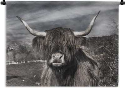 Wandkleed Schotse hooglander - Schattige Schotse hooglander zwart wit Wandkleed katoen 180x135 cm - Wandtapijt met foto