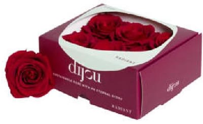 6x Dc pres.rozen red 1815c