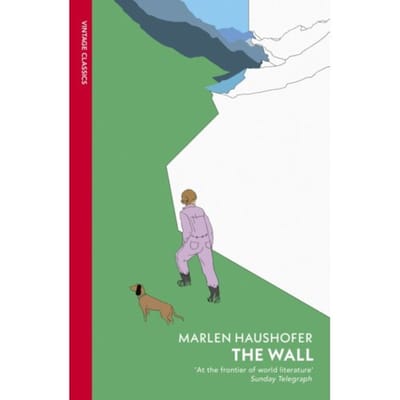 De Muur door Marlen Haushofer Paperback Boek 9781784879976