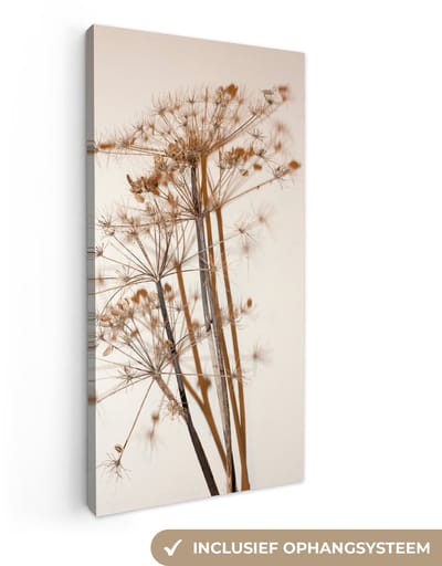 Canvas schilderij 20x40 cm - Wanddecoratie Droogbloemen - Stilleven - Wit - Planten - Bloemen - Muurdecoratie woonkamer - Slaapkamer decoratie - Kamer accessoires - Schilderijen op canvas