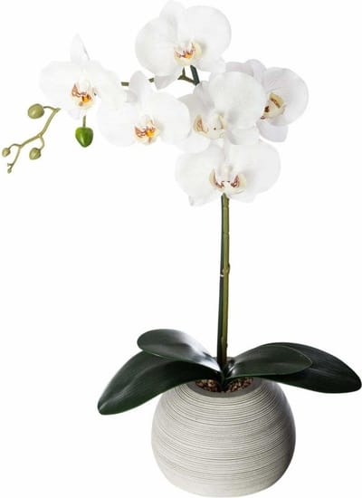 Atmosphera Kunstorchidee in keramische pot 50 cm