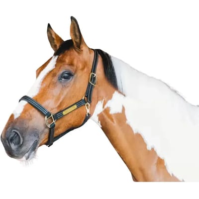 Kentucky Horsewear - Leder halster Wellington zwart Full