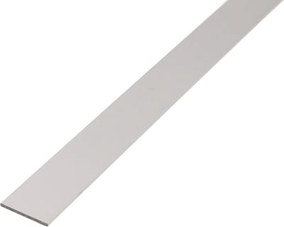 Aluminium Platprofiel Zilver Geanodiseerd 1000 x 20 x 5 mm - Rechte Buis voor Constructie en Afwerking