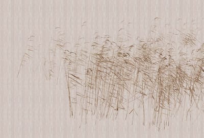 Fotobehang atthepond3 DD122060 Livingwalls Walls by Patel 3 Bruin Roze Vlies 270 x 400 cm (4 delen) Goedkoop fotobehang