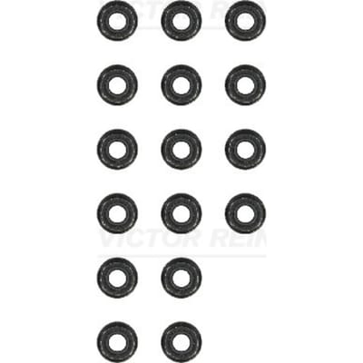 Victor Reinz Pakkingset, klepsteel REINZ 12-31306-12
