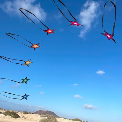 Eenlijnsvlieger Spiderkites Southern Stars 30091 Regenboog 70 x 75 cm (12 m)