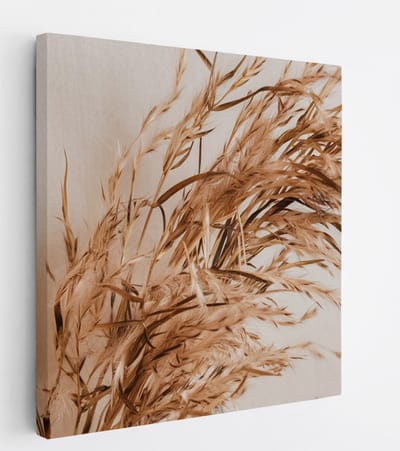Saammp Canvas Schilderij - Sierlijke Pampasgrassen - Natuur - Abstract - 20x20 - Foto op canvas - Wanddecoratie - Muurdecoratie Woonkamer - Kantoor Decoratie