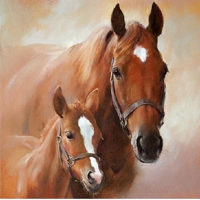 Ambiente servetten - paard met veulen - 40x stuks - 3-laags - wegwerpservetten - feestartikelen