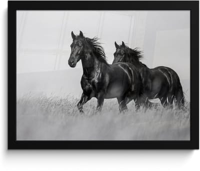Poster in lijst - Fotolijst 40x30 cm - Posters - Paarden - Gras - Zwart - Wit - Posterlijst zwart - Decoratie - Wanddecoratie woonkamer - Muurdecoratie slaapkamer