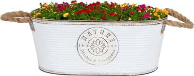 Sunnydays Teil/plantenpot/bloempot - zink - ivoorwit - L35 x D19 x H14 cm