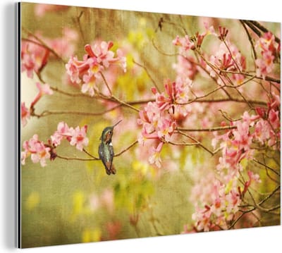 Aluminium schilderij 180x120 cm - Wanddecoratie metaal - Vogel - Kolibrie - Bloesem - Roze - Metalen muurdecoratie woonkamer - Decoratie industrieel - Foto op dibond - Industriële accessoires slaapkamer