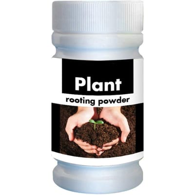 Snelle Wortelpoeder Snelle Plantenbloem Wortelpoeder Snelle Groei Verplantingsmest voor