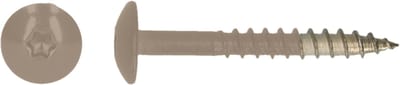 PGB-FASTENERS | HPL schroef Tx20 4,8x38 R1019 A4