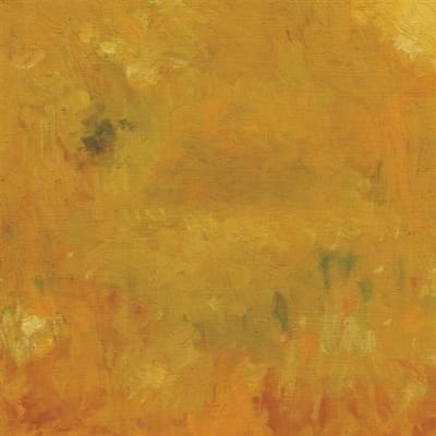 Bevel - Where Leaves Block The Sun (CD)