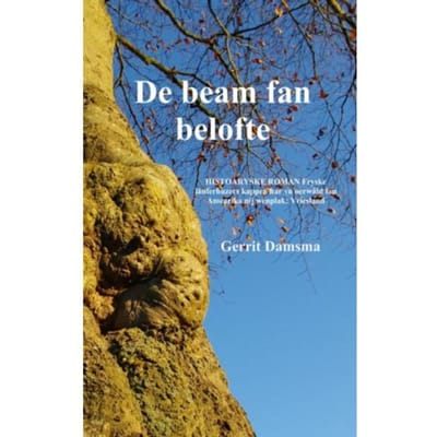 De Beam Fan Belofte - Gerrit Damsma